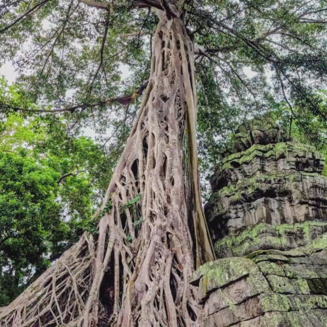 Angkor Wat Marathon video
